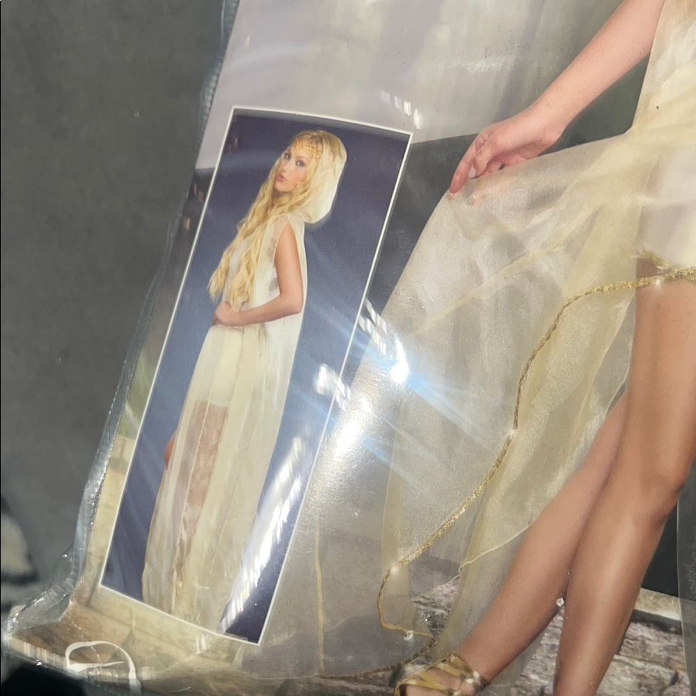 Elf Princess Costume with Gold Accents - Picture 6 of 11